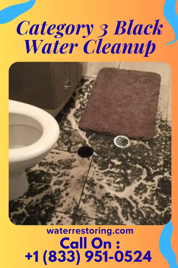 Category 3 Black Water Cleanup in Y-O Ranch, WY