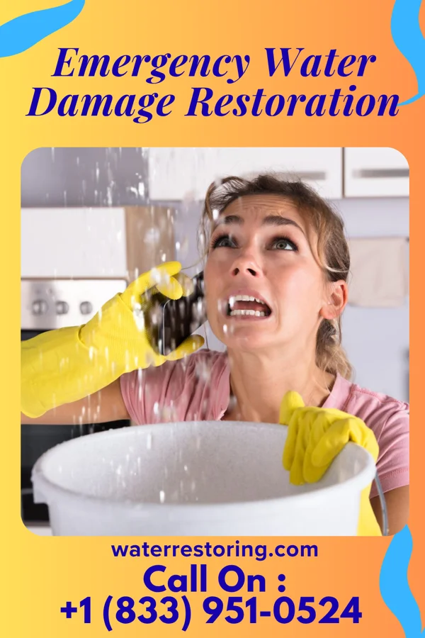 Emergency Water Damage Restoration in Y-O Ranch, WY