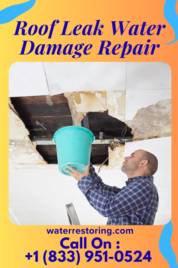 Roof Leak Water Damage Repair in Y-O Ranch, WY