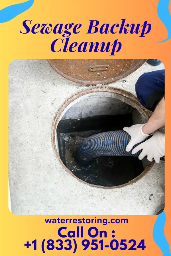 Sewage Backup Cleanup in Y-O Ranch, WY
