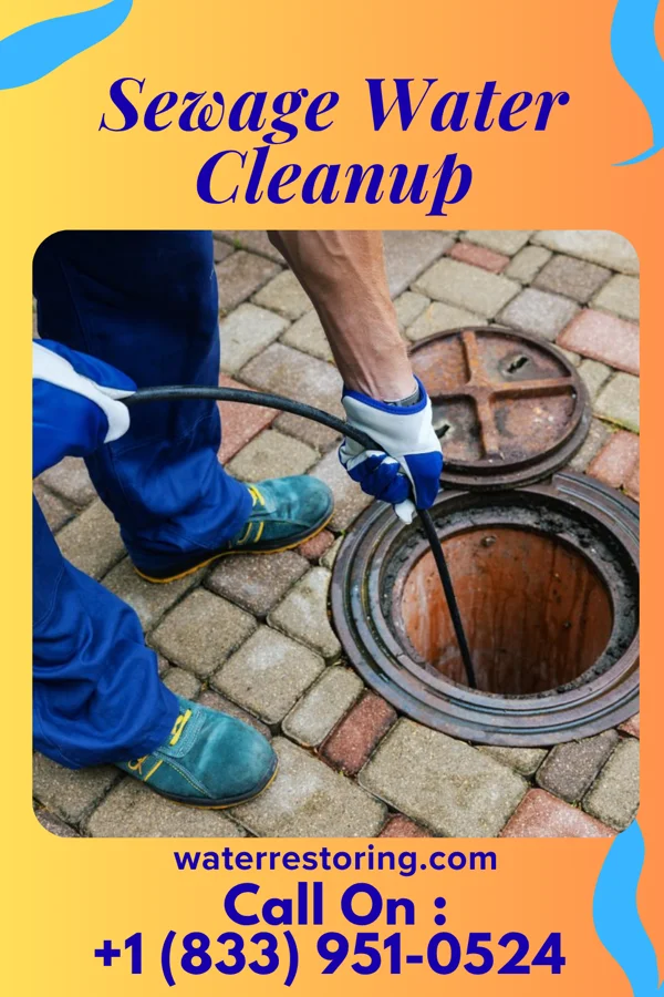 Sewage Water Cleanup in Y-O Ranch, WY
